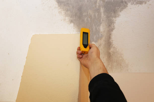 Best Residential Mold Inspection & Testing  in Rouses Point, NY