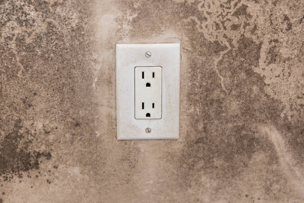 Best Emergency Mold Remediation  in Rouses Point, NY